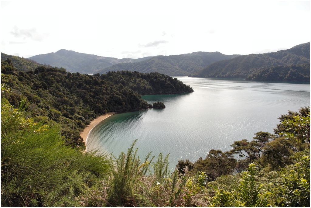 12 - Queen Charlotte  (05).jpg